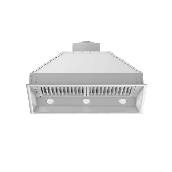 ZLINE Outdoor Stainless Steel Range Hood Insert (698-304)