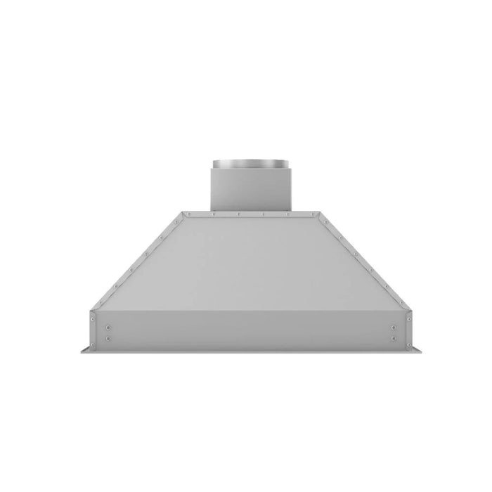 ZLINE Outdoor Stainless Steel Range Hood Insert (698-304)