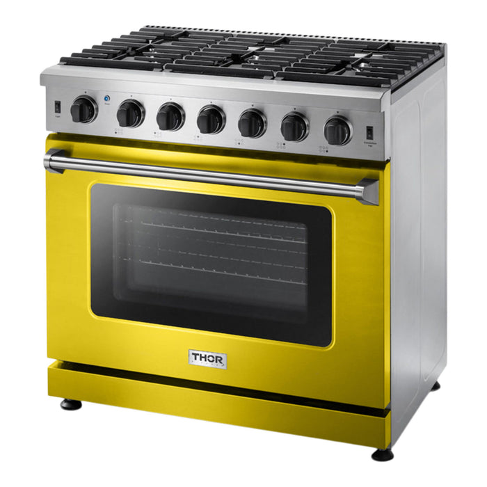 Thor Kitchen LRG3601U Customizable Door Kit