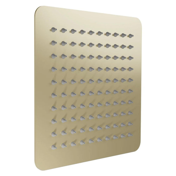 ZLINE Bliss 8" Rainfall Shower Heads in Brushed Nickel, Matte Black, and Polished Gold
