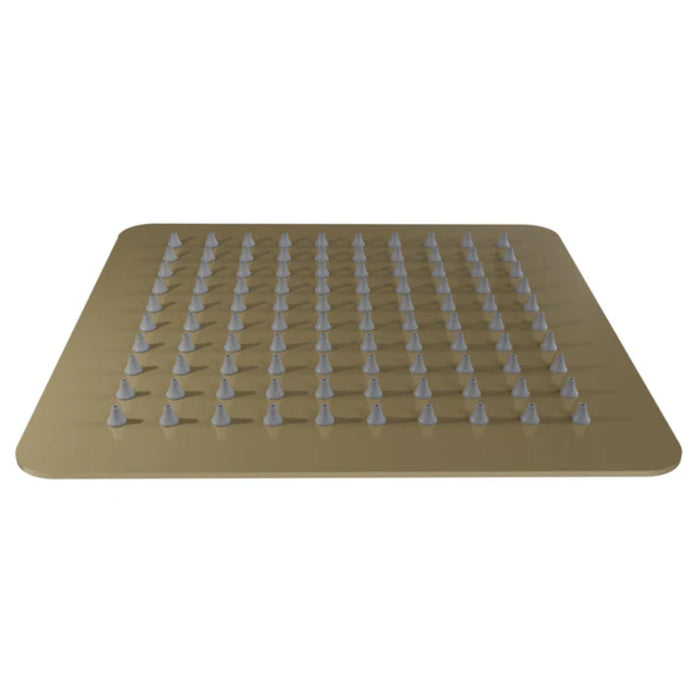 ZLINE Bliss 8-Inch Rainfall Shower Head in Champagne Bronze