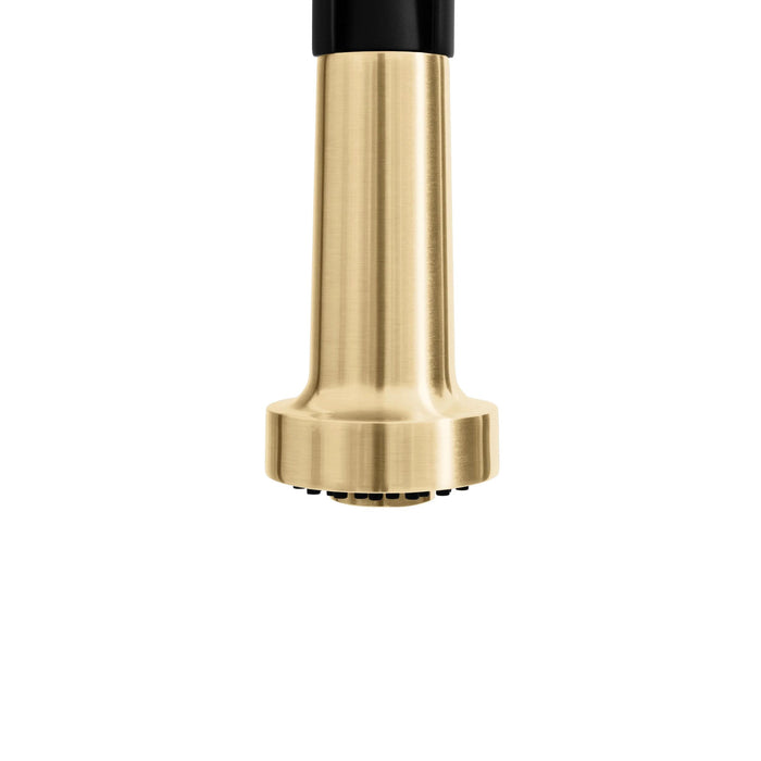 ZLINE Autograph Edition Apollo Pull-Down Spring Single Handle Kitchen Faucet in Matte Black and Champagne Bronze